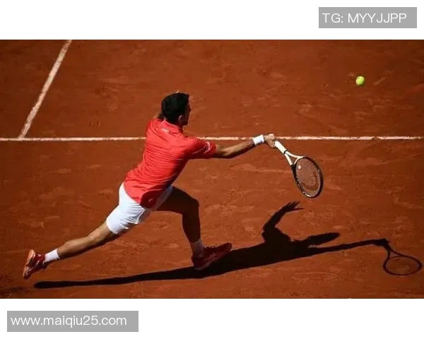 体育实时数据杨静回顾网球生涯的辉煌与挑战,畅谈成长与梦想的旅程