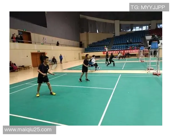 武汉羽毛球队实力深度解析与各队对比分析实时数据