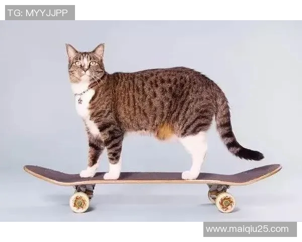 西安滑板队力量表现数据分析揭示运动员潜力与训练效果实时数据