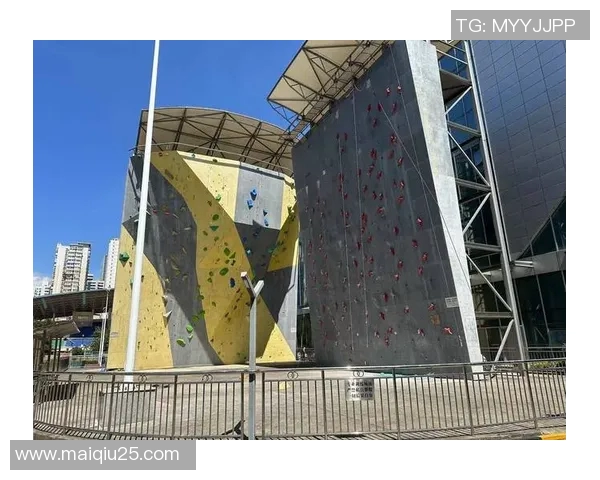 运动数据科学攀岩训练方法全解析提升技巧与体能的最佳方案