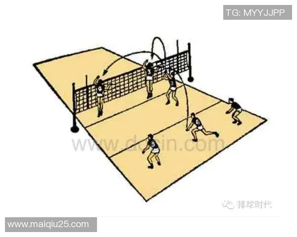 今年运动数据重庆排球队配合变革引发热议提升整体实力与战术水平的探索之路