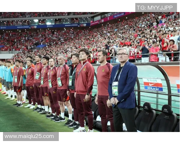 实时新闻南京排球队的蜕变之旅从传统强队到现代竞技新标杆的探索与挑战