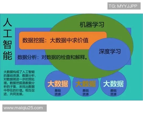实时新闻深入探讨上海足球队在比赛中的灵活性表现与数据分析的关系